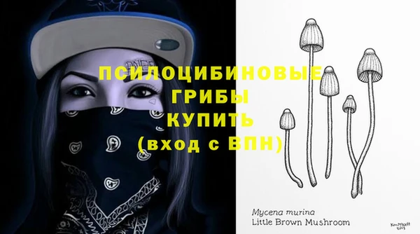 спиды Горняк