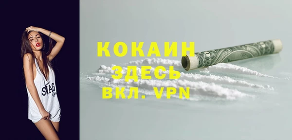 спиды Горняк