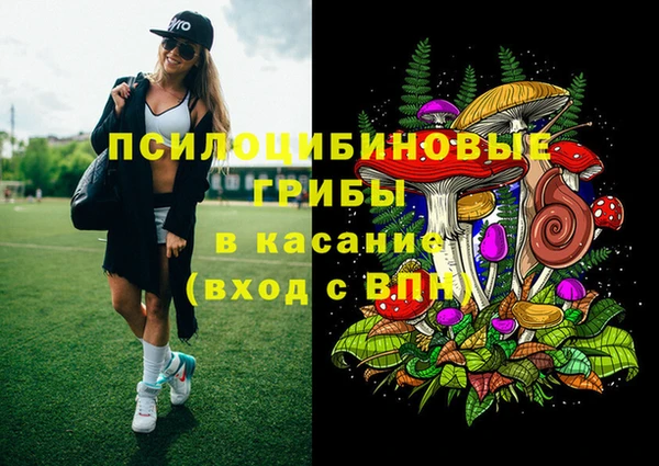 спиды Горняк