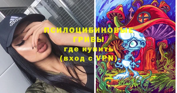 спиды Горняк