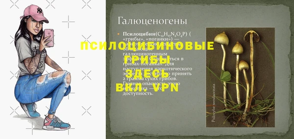 спиды Горняк