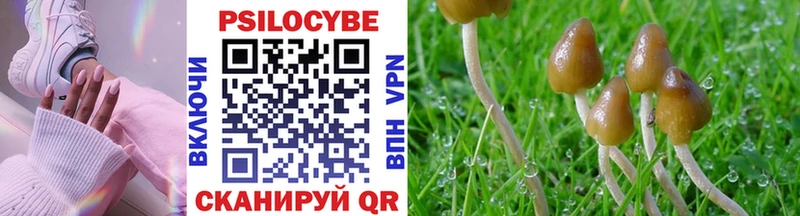 Галлюциногенные грибы Psilocybine cubensis  Купить закладки  Калач 